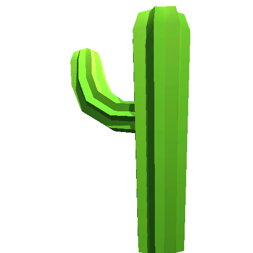 Cactus 02